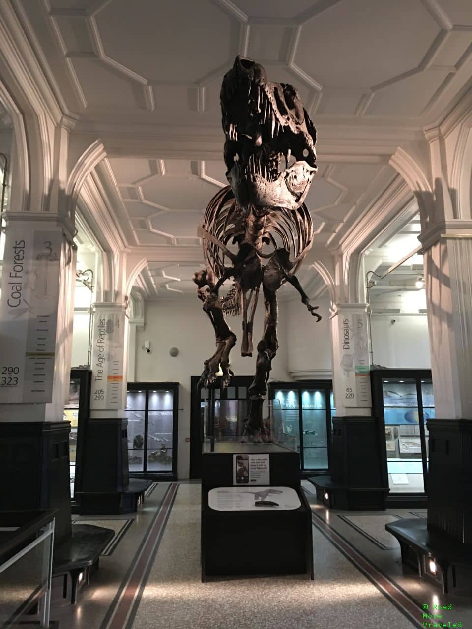 Sunday roasting and more in Manchester - Stan the T-Rex at Manchester Museum